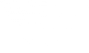شرکت اطلاع رسانی نفت و انرژی